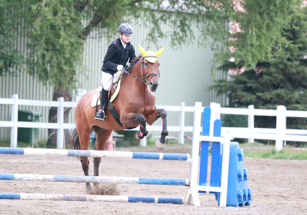 Reiterhof Janine Wagner-Ulunam